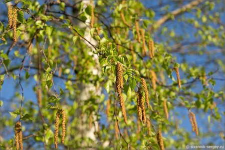 82356805.jpg 82356805.jpg