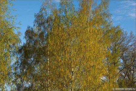 16928516.jpg 16928516.jpg