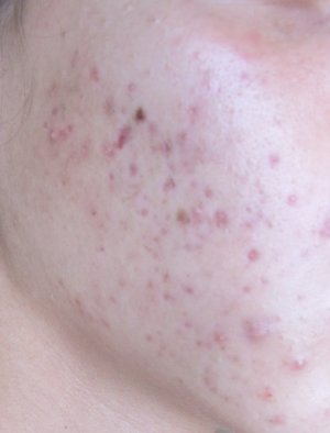 IMG_8163.JPG IMG_8163.JPG