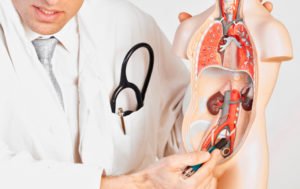 uroloji-300x189.jpg uroloji-300x189.jpg