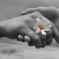 Брюня Блоня