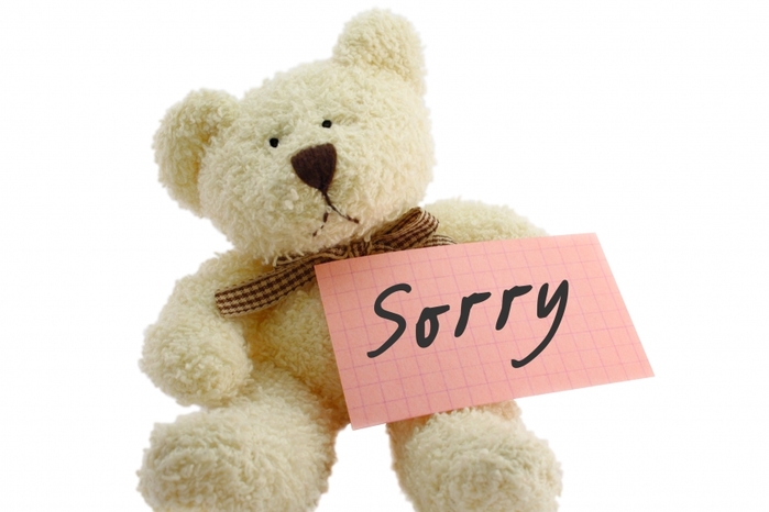 29881339_1217536335_20004486_1205095587_sorrybear.jpg